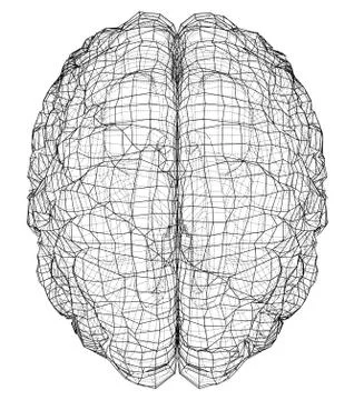 3D outline brain. Vector rendering of 3d Illustrazione stock