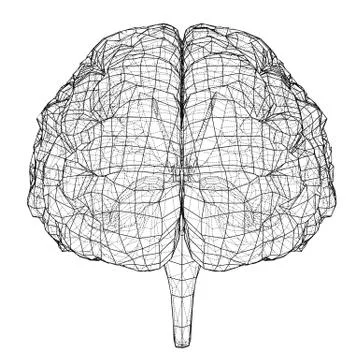 3D outline brain. Vector rendering of 3d Illustrazione stock