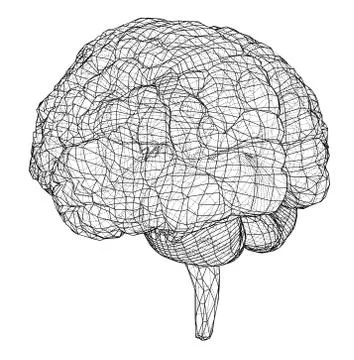 3D outline brain. Vector rendering of 3d Illustrazione stock