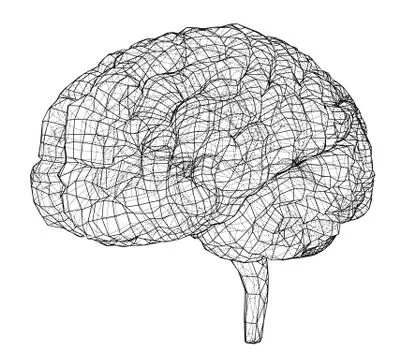 3D outline brain. Vector rendering of 3d Illustrazione stock