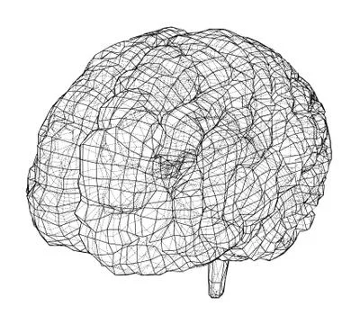 3D outline brain. Vector rendering of 3d Illustrazione stock
