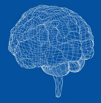 3D outline brain. Vector rendering of 3d Illustrazione stock