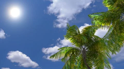 3d, Palm Beach and the sea near the hotel Stock-Footage 58813614