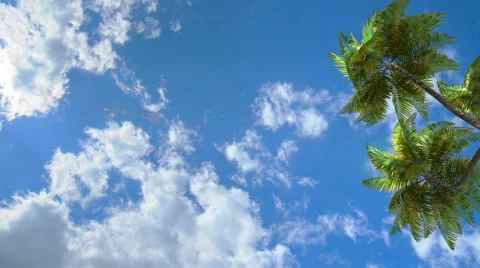 3d, Palm Beach and the sea near the hotel Video stock 58813663
