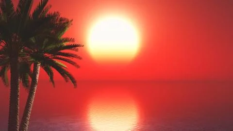 3D palm trees against sunset ocean landscape Stock-Illustration
