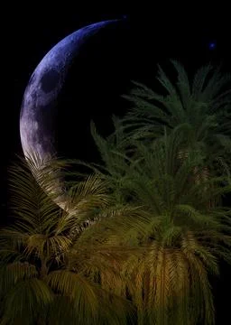3D Palm trees and crescent moon Stock-Illustration