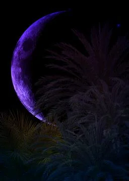 3D Palm trees and crescent moon Stock-Illustration