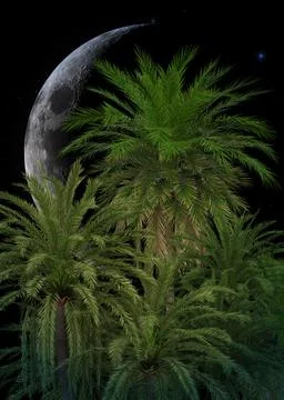 3D Palm trees and crescent moon Stock Illustration