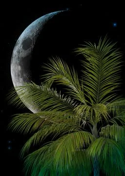 3D Palm trees and crescent moon Stock-Illustration
