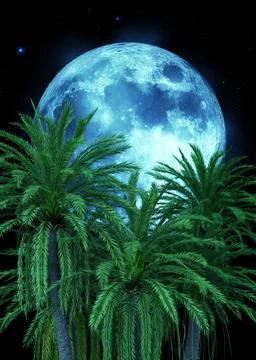 3D Palm trees and full moon Stock Illustration