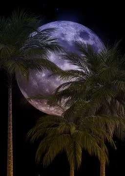 3D Palm trees and full moon Stock Illustration