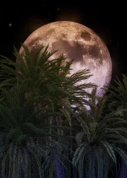 3D Palm trees and full moon Stockillustratie