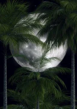 3D Palm trees and full moon Stock Illustration