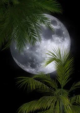3D Palm trees and full moon Stock Illustration