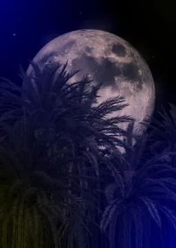 3D Palm trees and full moon Stock Illustration