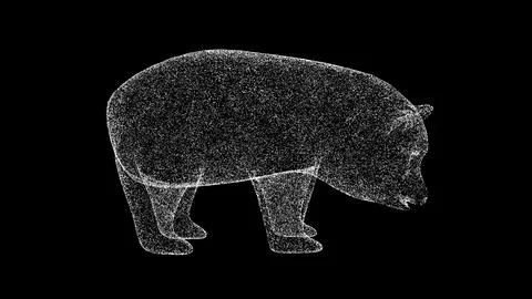 3D Panda rotates on black background. Zoo Park concept. Wild animals. Busines Ilustración de archivo