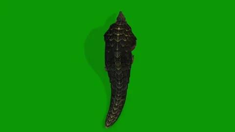 3D Pangolin Slow Walking Back Side On Green Screen Wildlife Animation Stock Footage 311699107