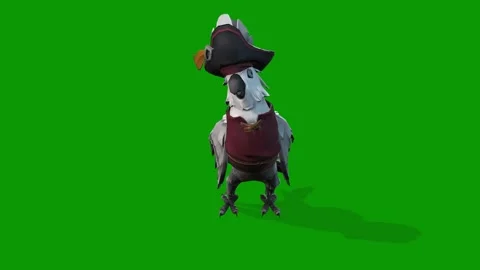 3D Parrot Talking Scene,High Quality 3D Bird On Green Screen 動画素材 308099900
