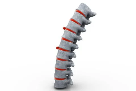 3d part of spine isolated white background Illustrazione stock
