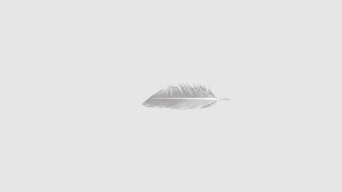3D Particle Animation of Bird Feathers Rotating in a Loop Stock Footage 341932362