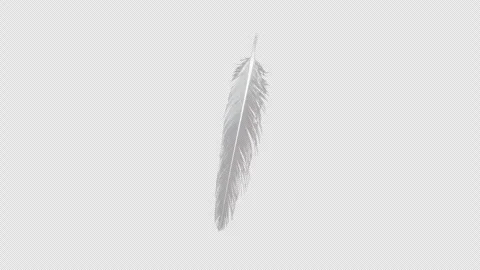 3D Particle Animation of Bird Feathers Rotating in a Loop Stock Footage 341932398