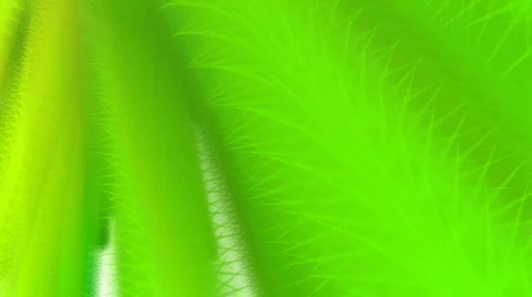 3D Particle2 Stock Footage 589058