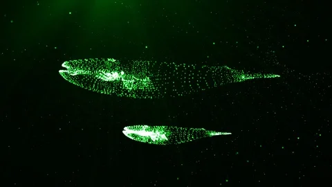 3d Particles Green Whale Stock Footage 90493798