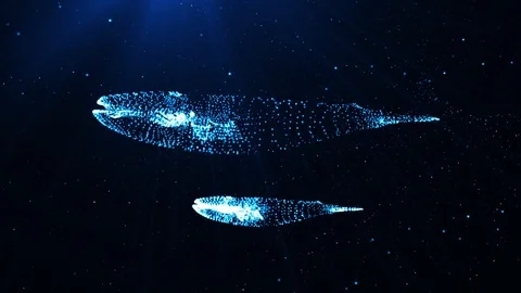 3d Particles Light Blue Whale Stock Footage 90493816