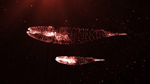 3d Particles Red Whale Stock Footage 90493883