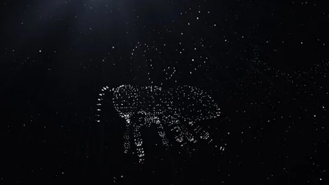 3D Particles White Bee Stock Footage 90352625