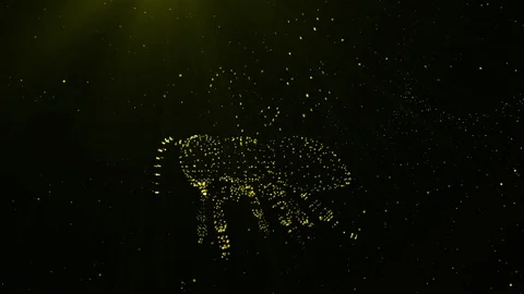 3D Particles Yellow Bee Stock Footage 90492554