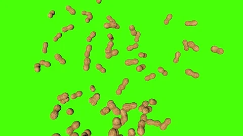 3D peanuts falling animation on green screen background Stock Footage 158871176