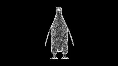 3D Penguin rotates on black background. Zoo Park concept. Wild animals. Bus.. Ilustración de archivo