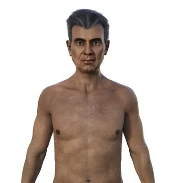 A 3D photorealistic illustration featuring the upper half part of an elderly  Stock Illustration