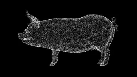 3D pig on black background. Object made of shimmering particles. Animal conce Illustrazione stock