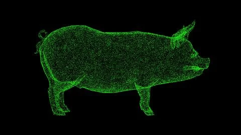 3D pig on black background. Object made of shimmering particles. Animal conce Stockillustratie