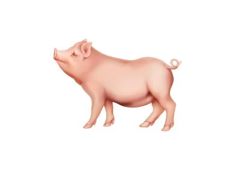 3D Pig Stock Illustration