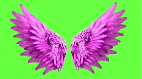Neon wings green screen free video 18991767 Stock Video at Vecteezy
