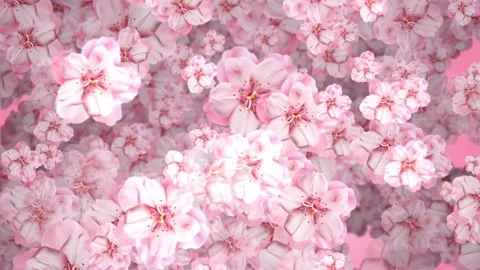 3d Pink Flower Background Spining Looping - High Quality Stock Footage Stock Footage 310736245