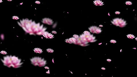 3d Pink Flower Overlay Alpha - High Quality Stock Footage Stock Footage 310736532