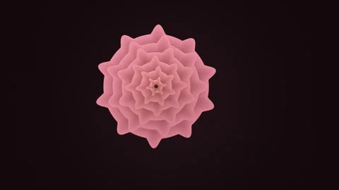 3D pink flower shape rotating against dark background Stock Footage 338417898