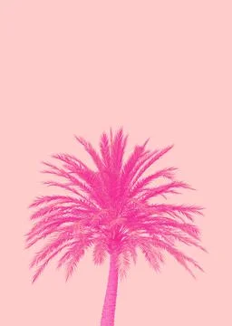 3D Pink palm tree Stock Illustration