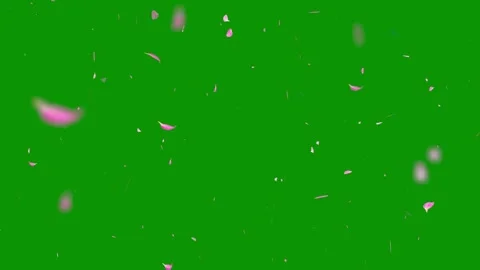 3d Pink Petals Overlay - High Quality Stock Footage Stock Footage 310736294