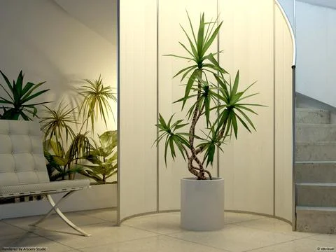 3D Model: 3D Plants Library Vol.2 #96468645 | Pond5