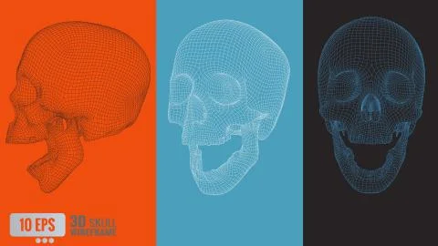 3D polygonal vector wireframe graphic skull in various view Illustrazione stock
