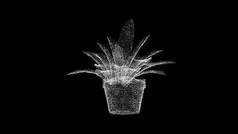 3D pot with flower on black bg. Object dissolved white flickering particles.. Ilustração Stock