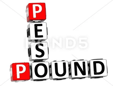 3d pound peso crossword Stock Illustration