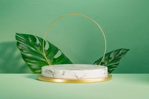 3d presentation white pedestal with leafs and gold frame over background wall Stock Illustration