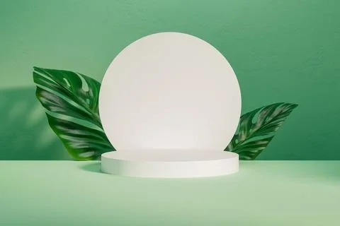 3d presentation white pedestal with leafs and frame over background wall Stock Illustration