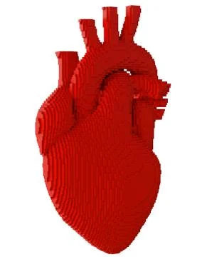 3d printed heart isolated イラスト素材